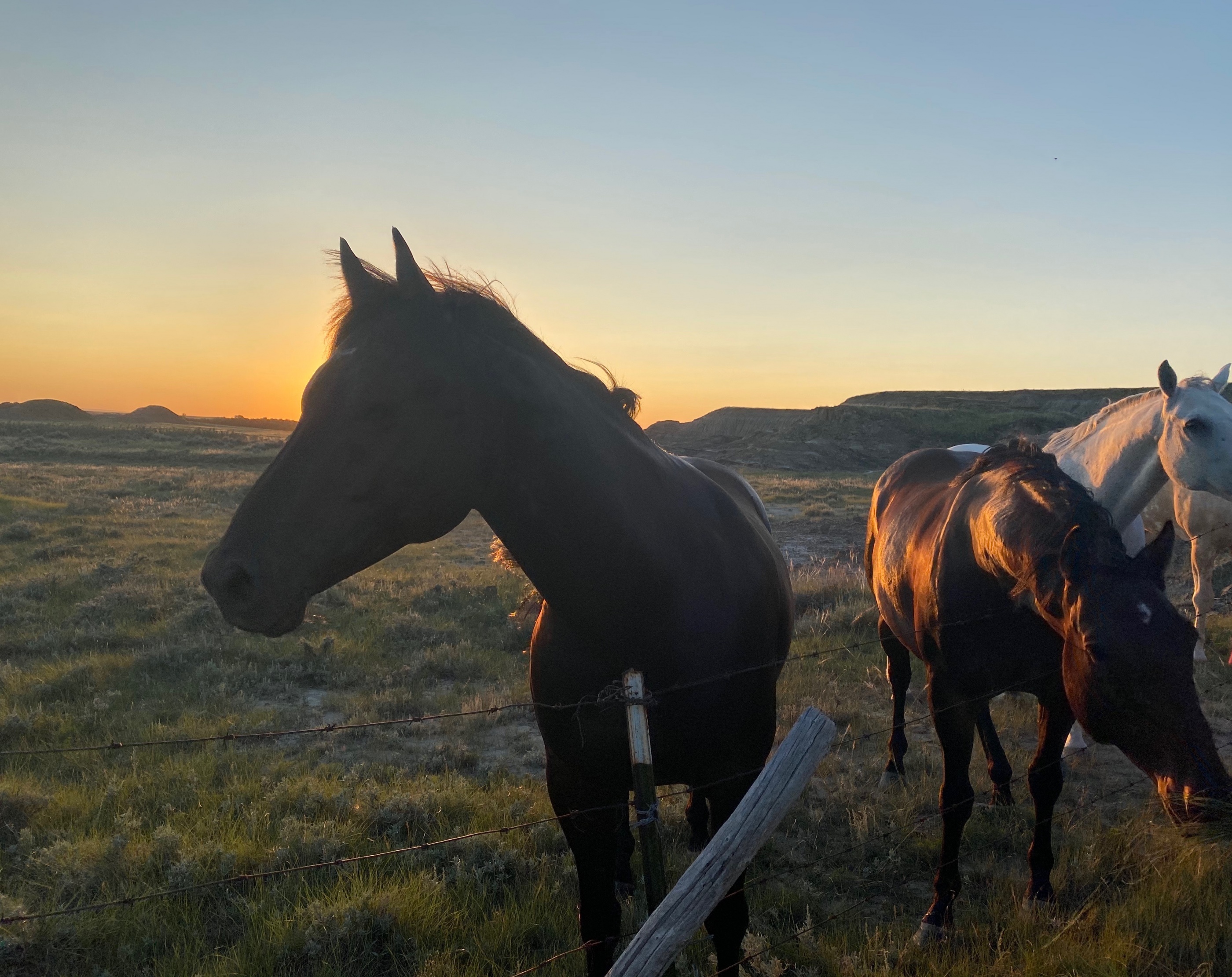 Farm & Ranch Water Infrastructure Program (FRWIP) Moose Jaw River Watershed Stewards Farm & Ranch Water Infrastructure Program (FRWIP) Moose Jaw River Watershed Stewards